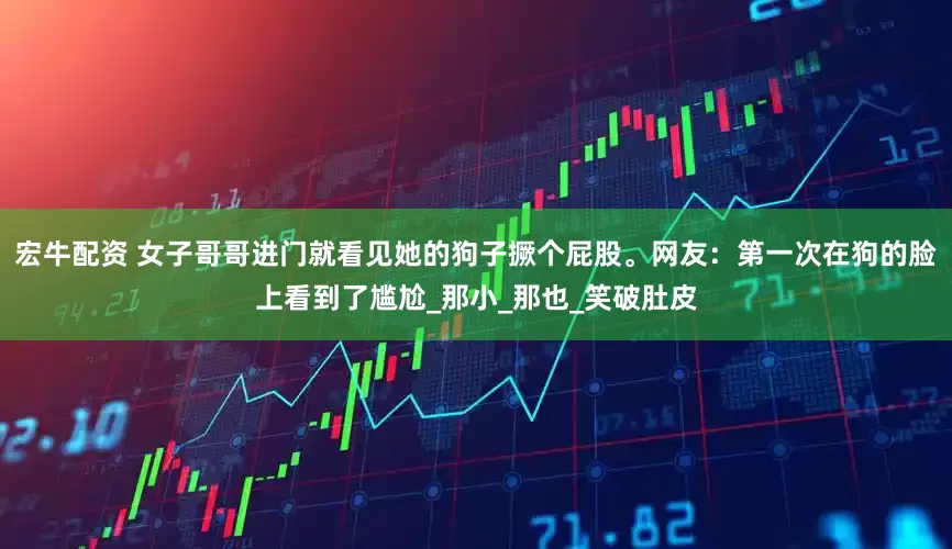 宏牛配资 女子哥哥进门就看见她的狗子撅个屁股。网友：第一次在狗的脸上看到了尴尬_那小_那也_笑破肚皮