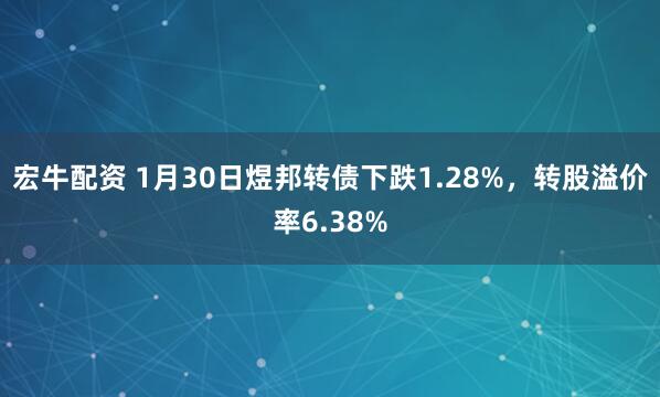 宏牛配资 1月30日煜邦转债下跌1.28%，转股溢价率6.38%